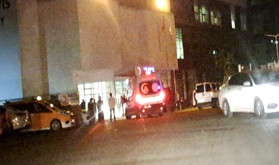 Diyarbakır'ın Beypınar Köyü'nde meydana gelen havai fişek faciası hakkında detaylı