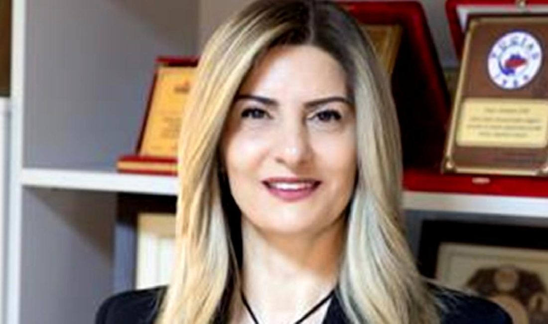 Dorçe, modüler çelik yapılar konusunda öncü Türk şirketidir. Yenilikçi çözümleri