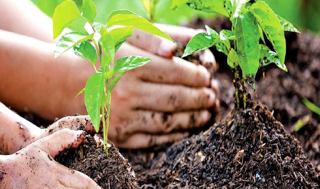 Dünya Çevre Günü'nü kutlamak için Türkiye'deki sera gazı emisyonları konusunda