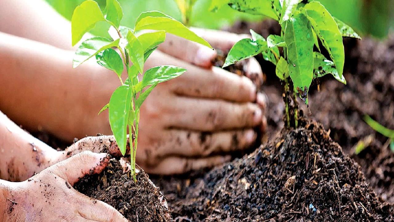 Dünya Çevre Günü'nü kutlamak için Türkiye'deki sera gazı emisyonları konusunda