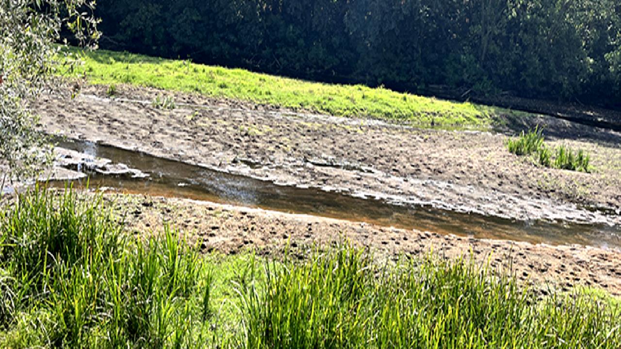 Edirne'de Tunca Nehri'nde su seviyesi düşüşe geçti. Bu durum, bölgedeki