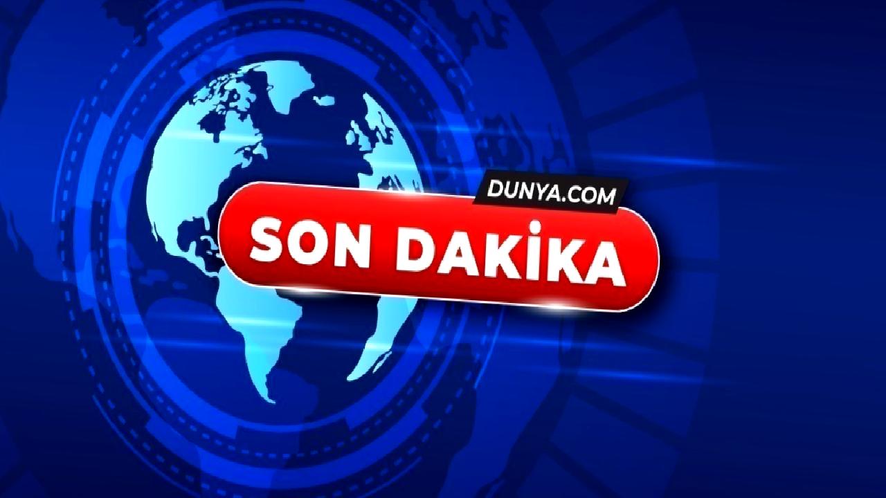 Evcil hayvan bakımı hakkında ipuçları ve pratik bilgileri içeren kapsamlı