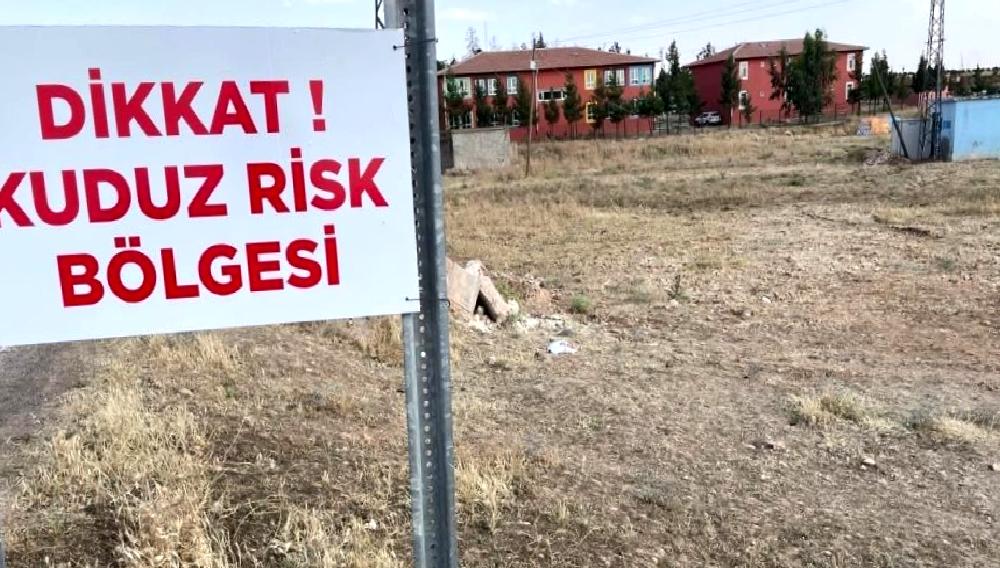 Eyyübiye İlçesinde yaşanan kuduz alarmıyla ilgili son gelişmeler ve önlemler.