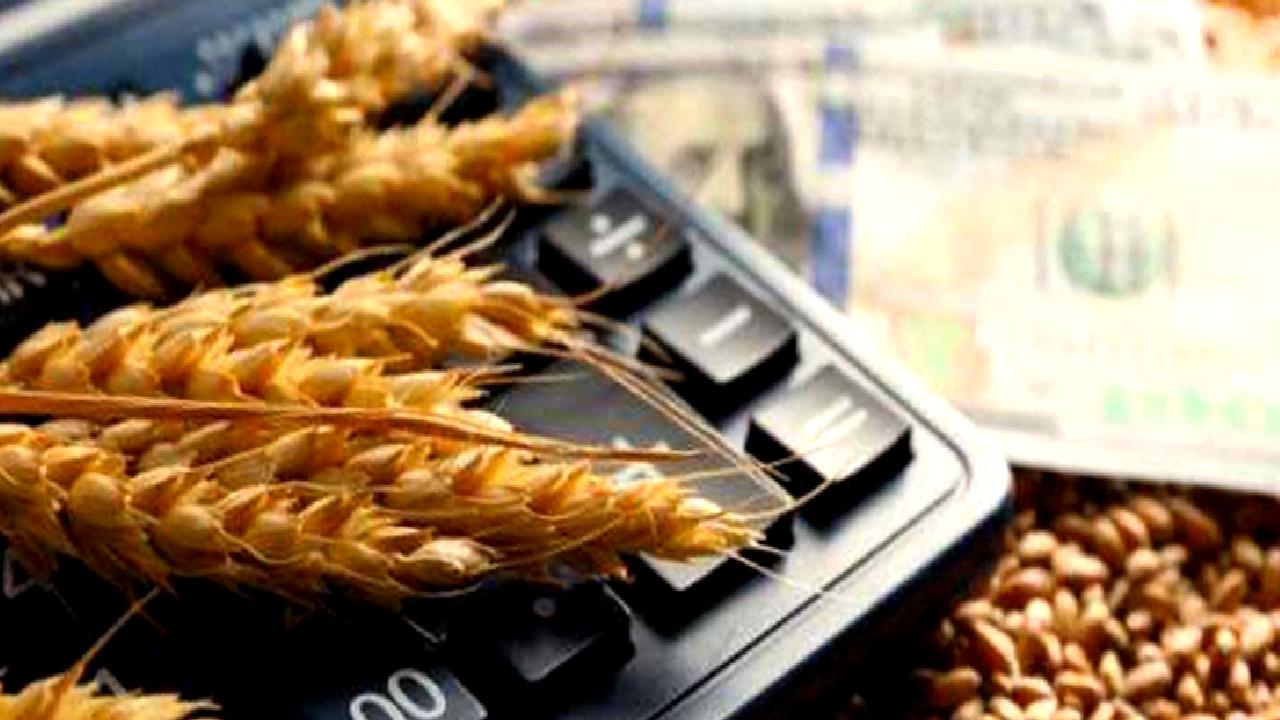 Fed'in para politikasındaki belirsizlikler emtia piyasalarını etkiliyor. Dolar, altın, petrol