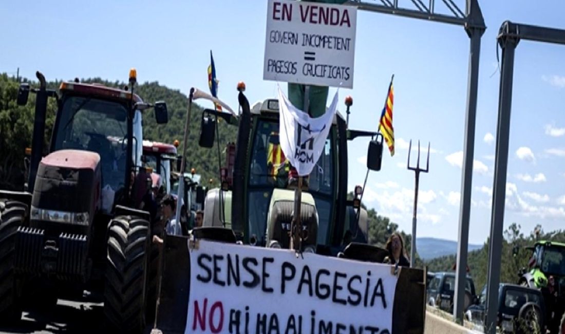 Fransız ve İspanyol Çiftçilerin Eylemi Fransız ve İspanyol çiftçilerin eylemi, tarım sektöründeki zorlukları ve talepleri