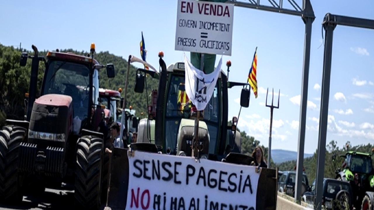 Fransız ve İspanyol çiftçilerin eylemi, tarım sektöründeki zorlukları ve talepleri