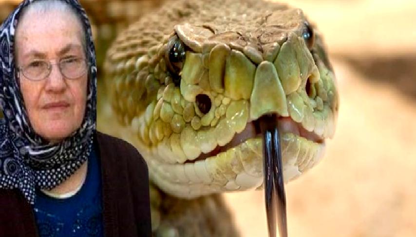 Gülşah Çakmak, yılan ısırması sonucu hayatını kaybetti. Bu üzücü olay,