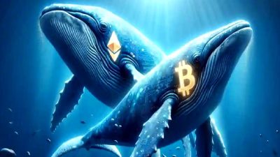 Kripto para balinalarının hareketli günleriyle ilgili en güncel bilgileri ve