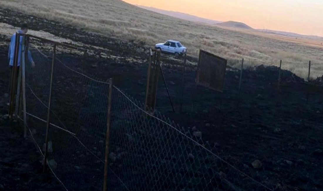 Mardin’de Buğday Tarlalarında Yangın Çıktı Mardin'de buğday tarlalarında çıkan yangın büyük bir felakete sebep oldu.