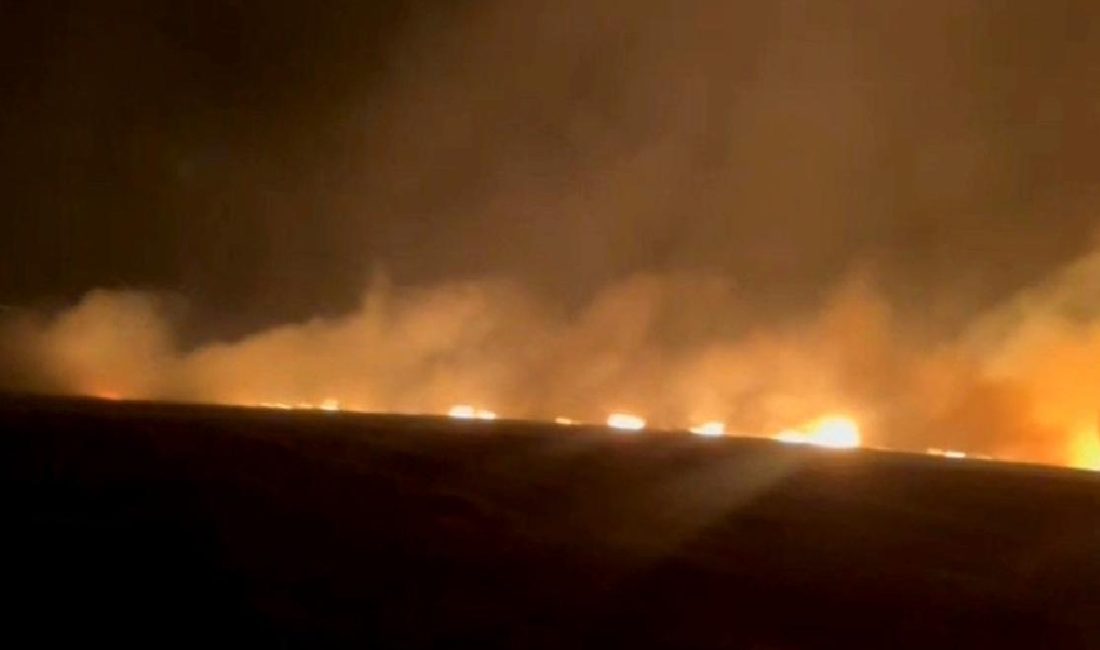 Mardin’de Ortaköy Mahallesi’nde Çıkan Yangında 300 Dönüm Buğday Kül Oldu Mardin Ortaköy Mahallesi'nde meydana gelen yangında 300 dönüm buğday tarlası