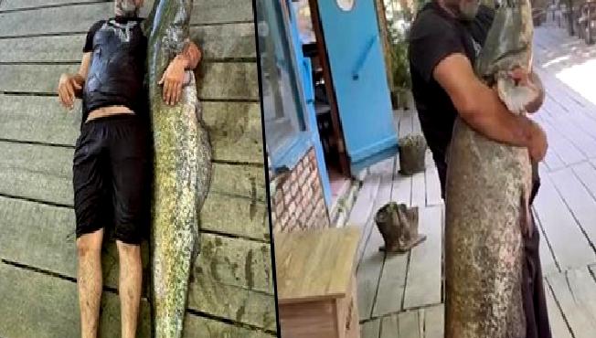 Melen Çayı’nda Dev Yayın Balığı Yakalandı Melen Çayı'nda dev yayın balığı yakalandı! Bu olağanüstü av, balıkçıları