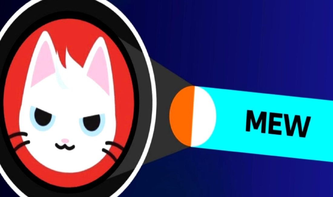 MEW Coin nedir? Piyasa durumu ve potansiyeli hakkında detaylı bilgi