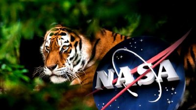 NASA uyduları, dünya üzerindeki türlerin izlenmesi ve korunması için önemli