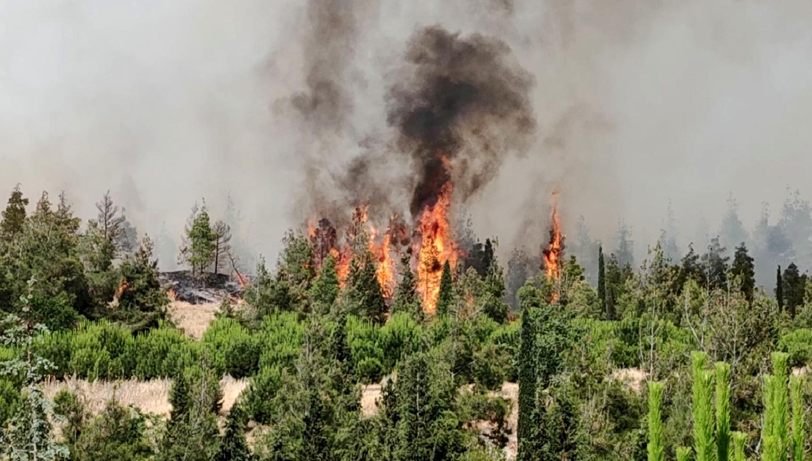 Orman yangını sebebi araştırması, olayın arkasındaki gerçeği gün yüzüne çıkardı.