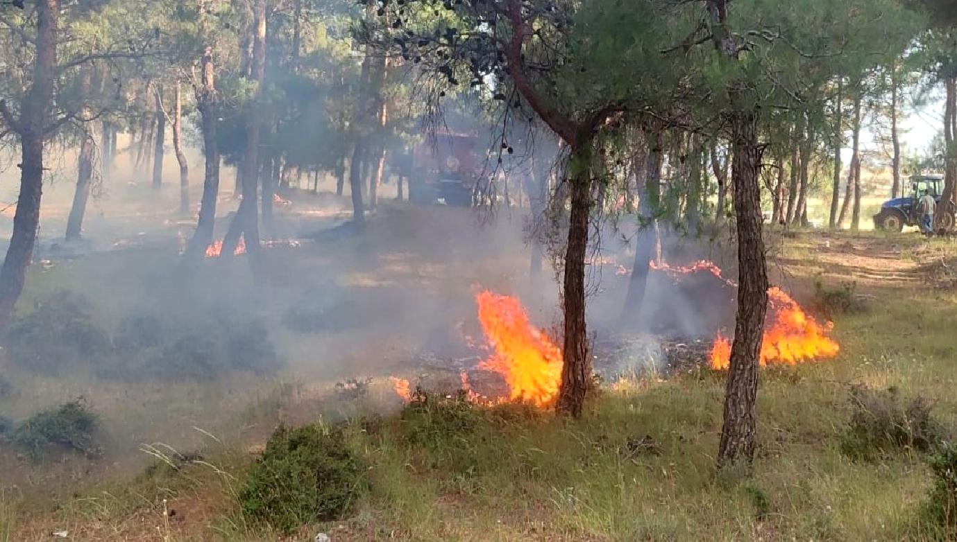 Orman yangınlarının önlenmesi için alınabilecek tedbirler ve orman yangınlarına karşı