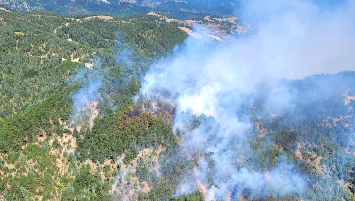 Orman yangınlarına ilişkin en güncel haberler ve son gelişmeler bu