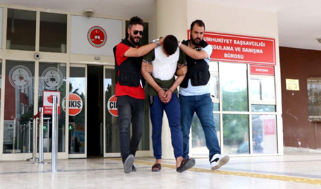 Şanlıurfa’da Kadın Cinayeti Şanlıurfa'da meydana gelen acı bir olayda yaşanan kadın cinayeti hakkında