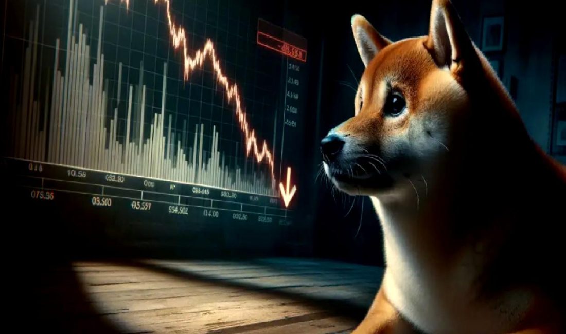 SHIB Açık Pozisyonlarında Artış SHIB kripto para birimi açık pozisyonlarında artış gösteriyor mu? SHIB