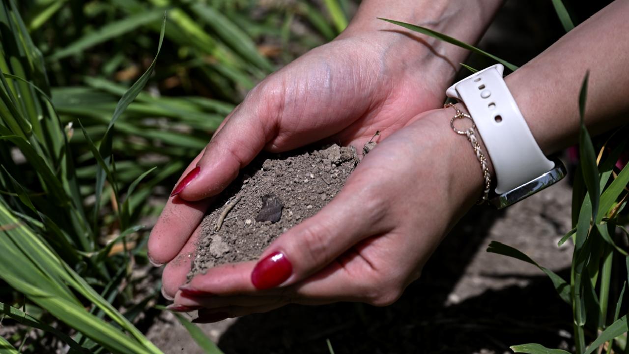 Sürdürülebilir tarımın öncü ismi Nihal Ceren Alıcı'nın başarı hikayesini keşfedin.