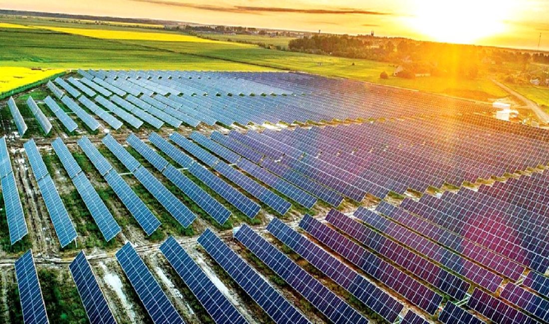 Turkcell Çevre Günü Eylemleri, şirketin çevresel sürdürülebilirlik çalışmalarını vurgulayan etkinlikleri