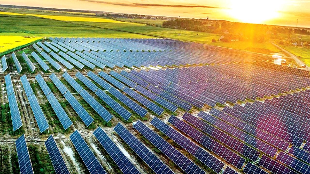 Turkcell Çevre Günü Eylemleri, şirketin çevresel sürdürülebilirlik çalışmalarını vurgulayan etkinlikleri