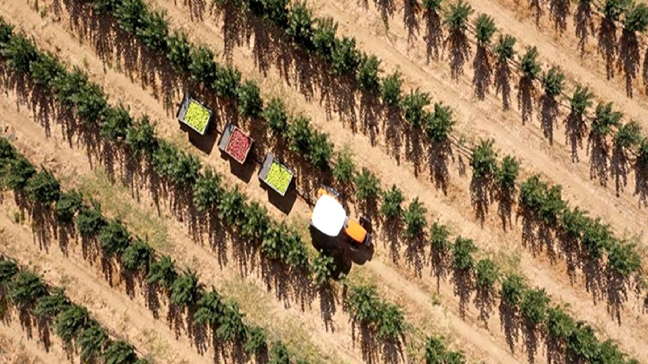 Türkiye-Avrupa Birliği IPARD Programı ve Yenilikler ile tarım sektöründe yaşanan