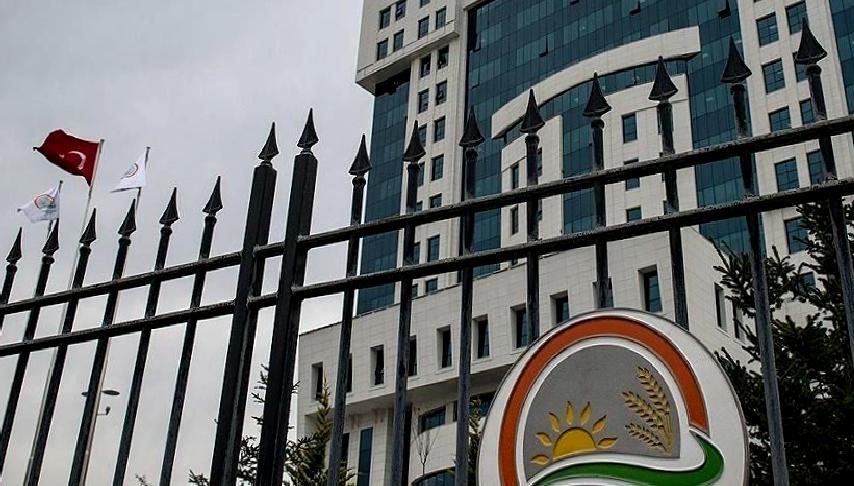 Türkiye'de turna popülasyonu ve koruma çalışmaları hakkında bilgi edinmek için