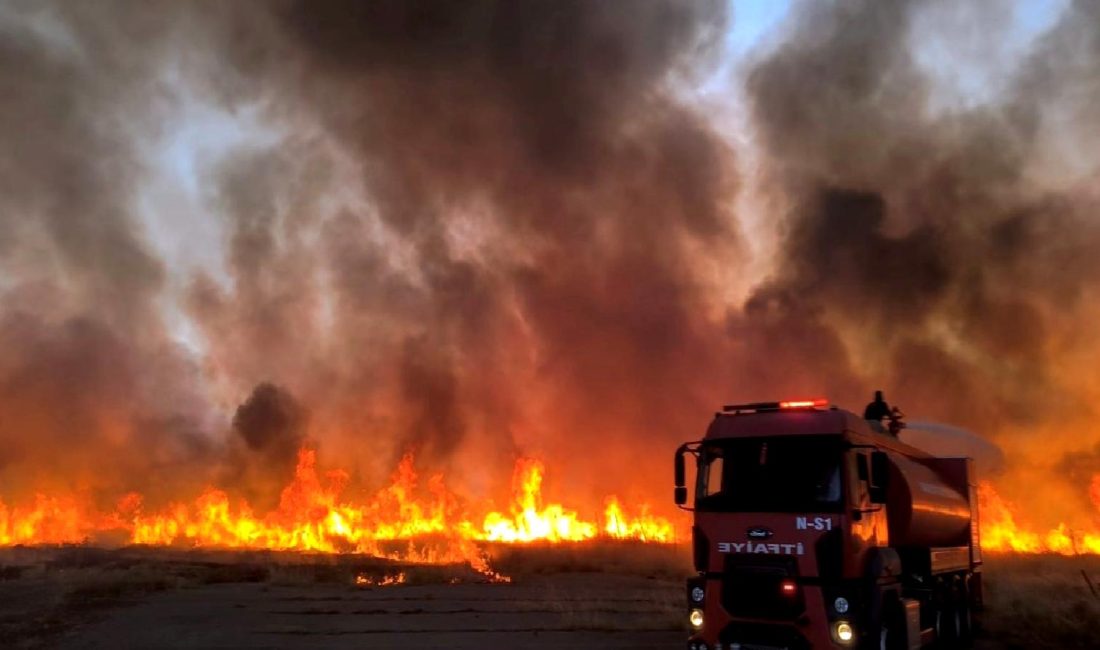Nusaybin'de çıkan yangın kontrol altına alındı. İtfaiye ekiplerinin hızlı müdahalesi