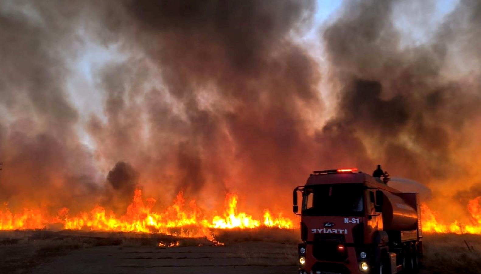 Nusaybin'de çıkan yangın kontrol altına alındı. İtfaiye ekiplerinin hızlı müdahalesi