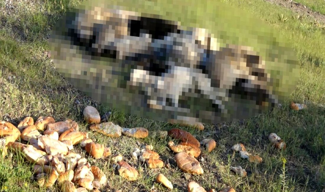 Yozgat Belediye Başkanı, son olaya hızlı ve etkili bir şekilde