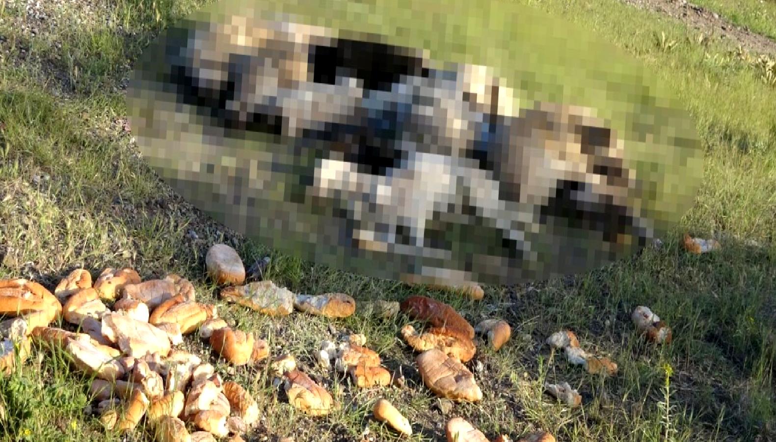 Yozgat Belediye Başkanı, son olaya hızlı ve etkili bir şekilde