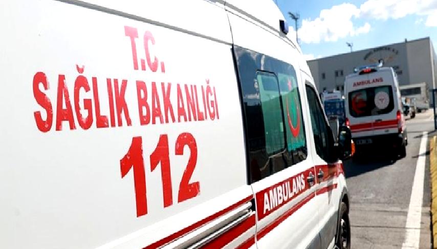 Yusufeli Sebzeciler Köyü'nde yaşanan yılan ısırması olayı hakkında detaylı bilgiler.