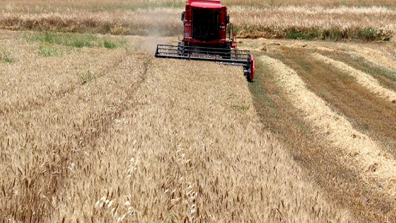 2024 yılında geçerli olan mahsulü hububat alım fiyatları ve destekler