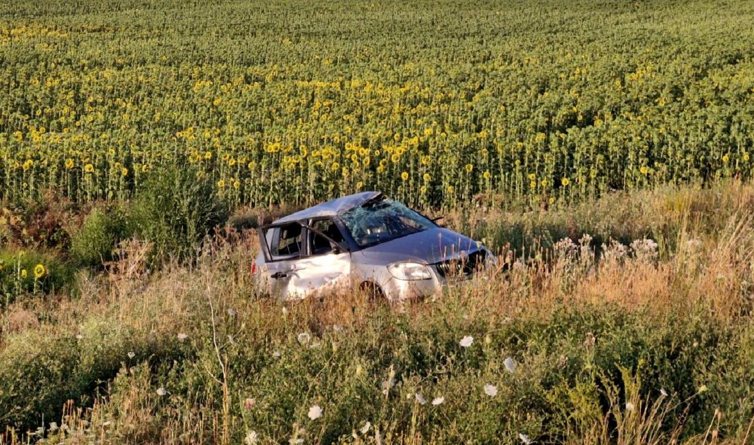 Alaca-Sungurlu Karayolunda Trafik Kazası Alaca-Sungurlu Karayolunda meydana gelen trafik kazası hakkındaki detaylar. Kazada yaralananlar