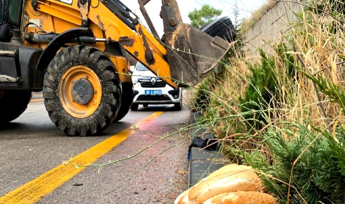 Ankara-Samsun Yolu’nda 12 Yaşındaki Kız Çocuğuna Çarpan TIR Lastiği Ankara-Samsun yolu üzerinde meydana gelen trajik olayda, 12 yaşındaki bir