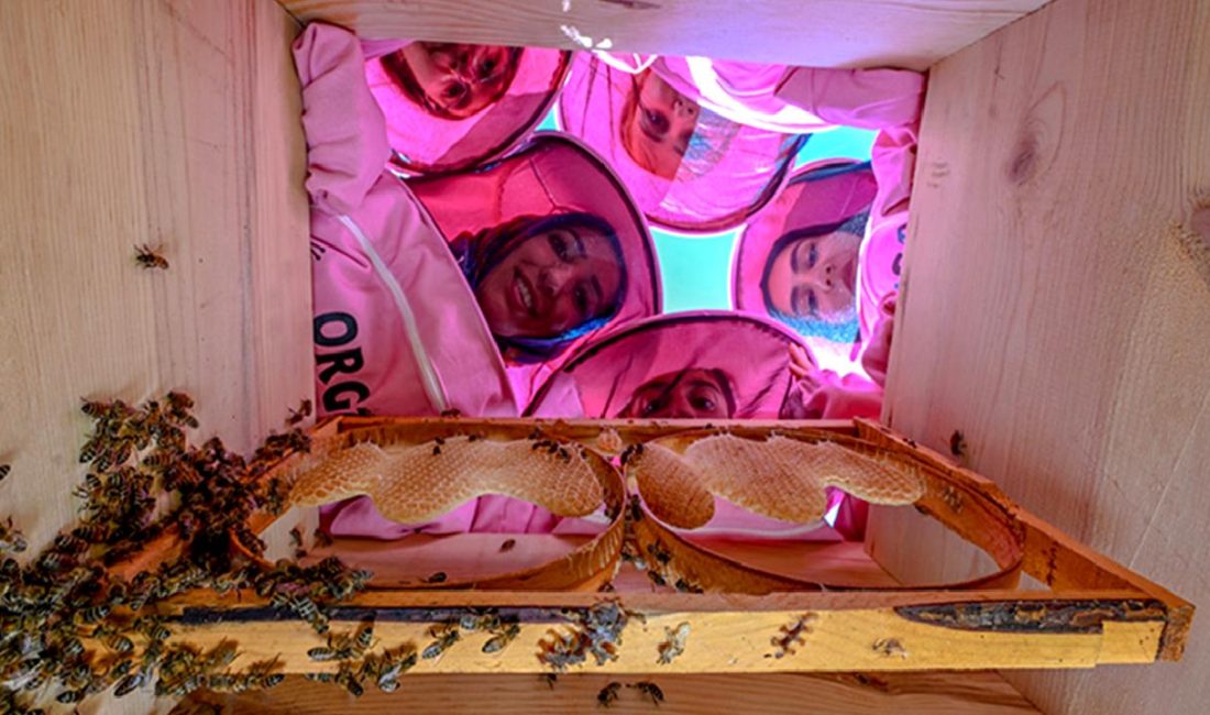 Artos Kadın Kooperatifi, arıcılık faaliyetlerini geliştirerek doğal bal üretimine katkı