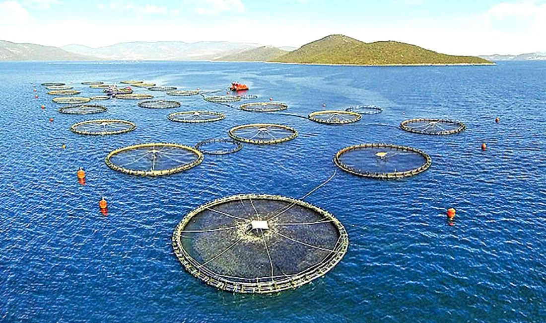 Balık çiftlikleri ve turizm konusunda yaşanan tartışmaları inceleyen bu içerik,