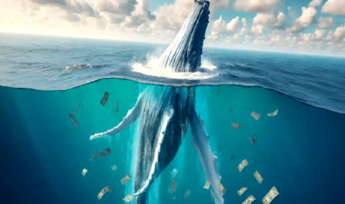 Bitcoin Cüzdanından Tarihi İşlem: 1.000 BTC Transfer Edildi Bitcoin cüzdanından tarihi bir işlem gerçekleşti! 1.000 BTC transfer edildi.