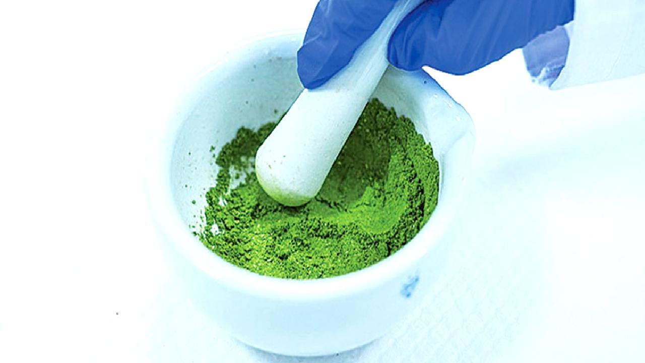 Bitkisel proteinler, hayvan bazlı protein kaynaklarına sürdürülebilir alternatifler sunar. Bitkisel