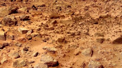 Çinli bilim insanları, Mars benzeri ekstrem koşullara dayanabilen bir yosunu