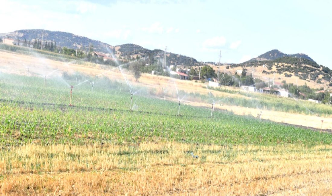 Edirne Valisi Yunus Sezer, Enez ve İpsala ilçelerini ziyaret ederek