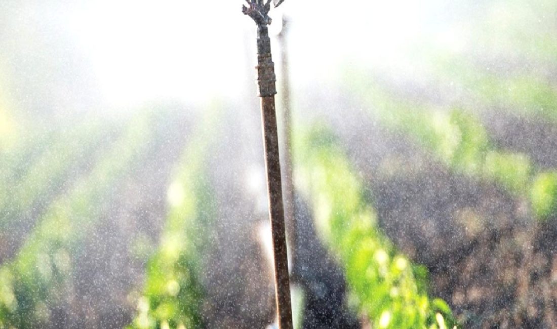 Elektrik zammı tarımsal üretimi olumsuz etkiliyor. Çiftçiler artan maliyetlerle başa