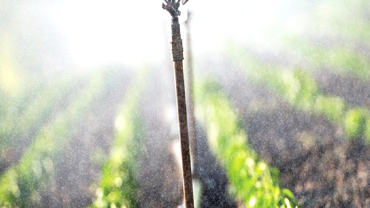 Elektrik zammı tarımsal üretimi olumsuz etkiliyor. Çiftçiler artan maliyetlerle başa