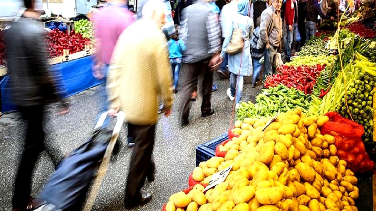 Eskişehir'de domates hasadı başladı! Yeni sezonun bereketi ve lezzeti şimdiden