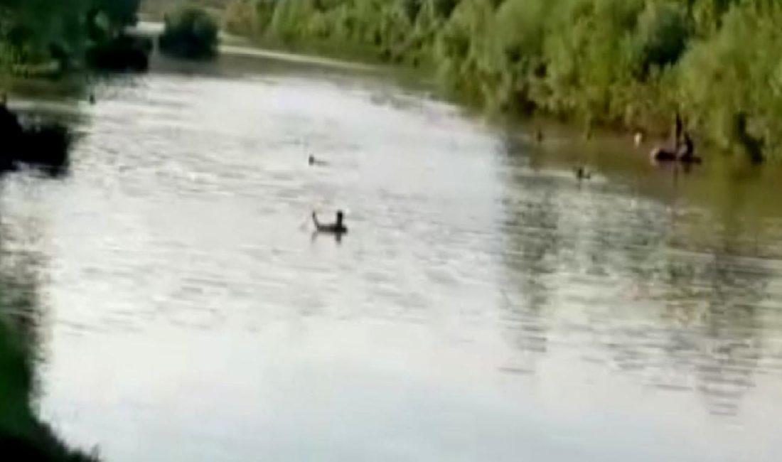 Horasan'da piknik yaparken acı bir sonla karşılaşanların hikayesi. Doğa, keyif