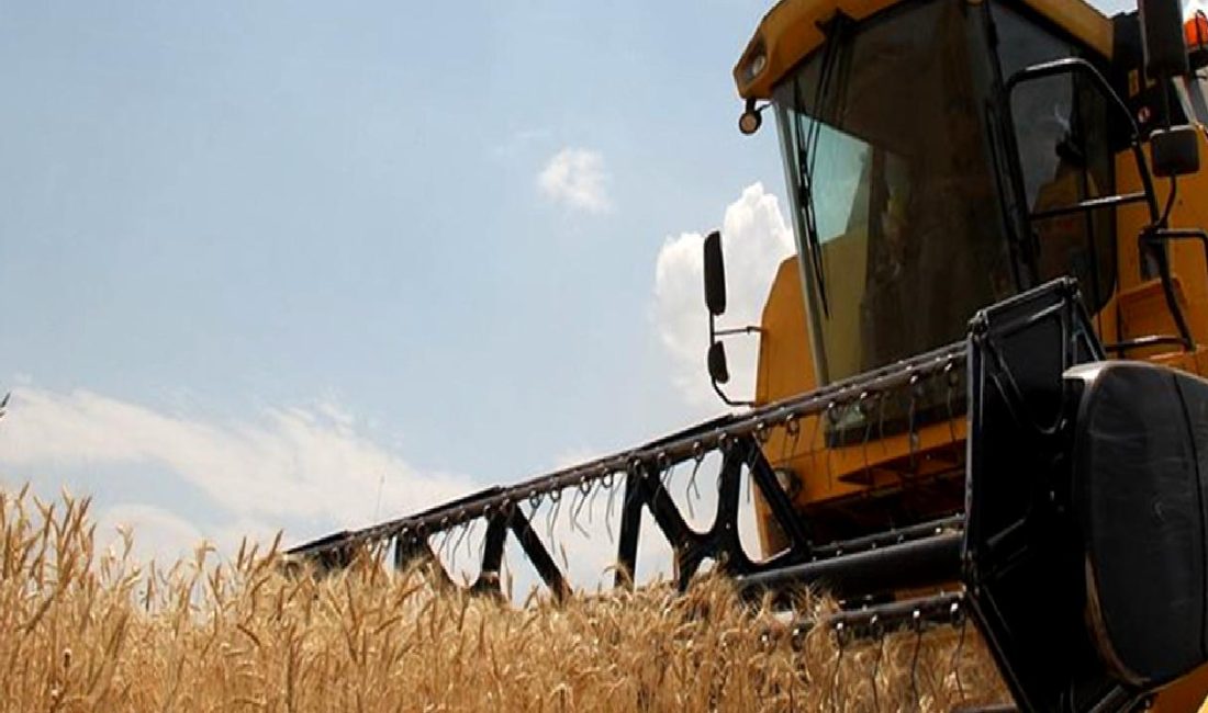 Hububat üretiminde karşılaşılan zorluklar ve sektördeki beklentileri ele alan detaylı