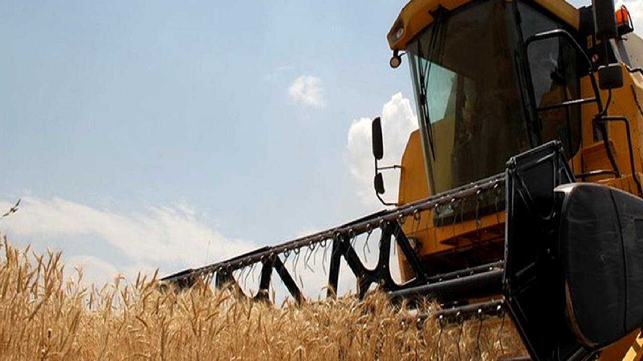 Hububat üretiminde karşılaşılan zorluklar ve sektördeki beklentileri ele alan detaylı