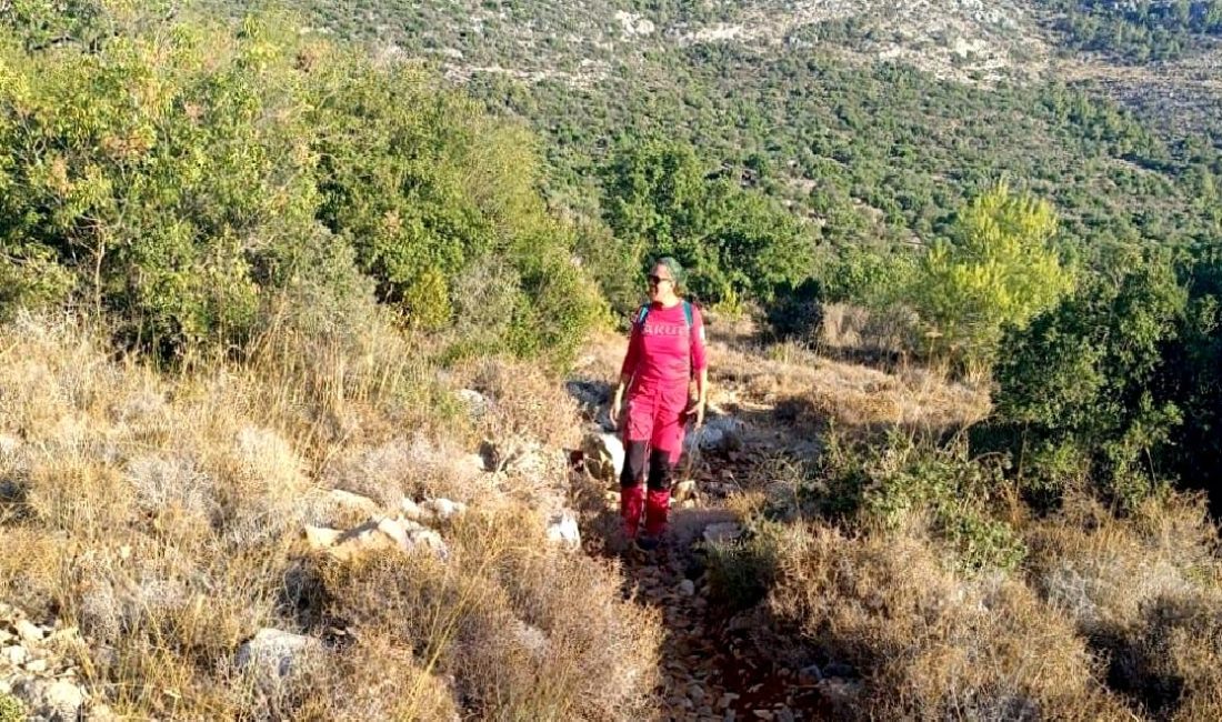 Kayıp İsa Kozan için sürdürülen arama çalışmaları tüm hızıyla devam