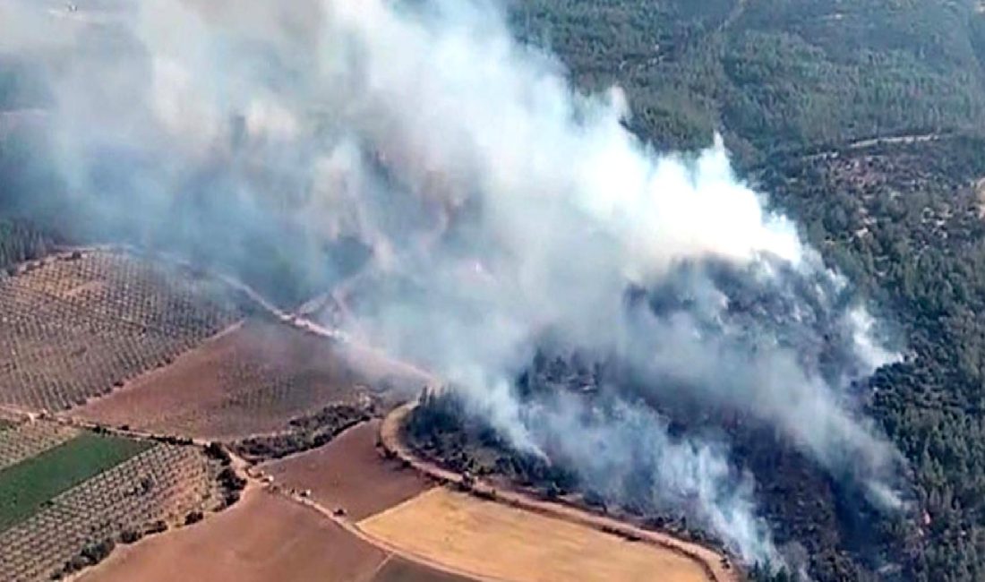 Manisa Gölmarmara’da Orman Yangını Kontrol Altına Alındı Manisa Gölmarmara'da çıkan orman yangını ekipler tarafından kontrol altına alındı.