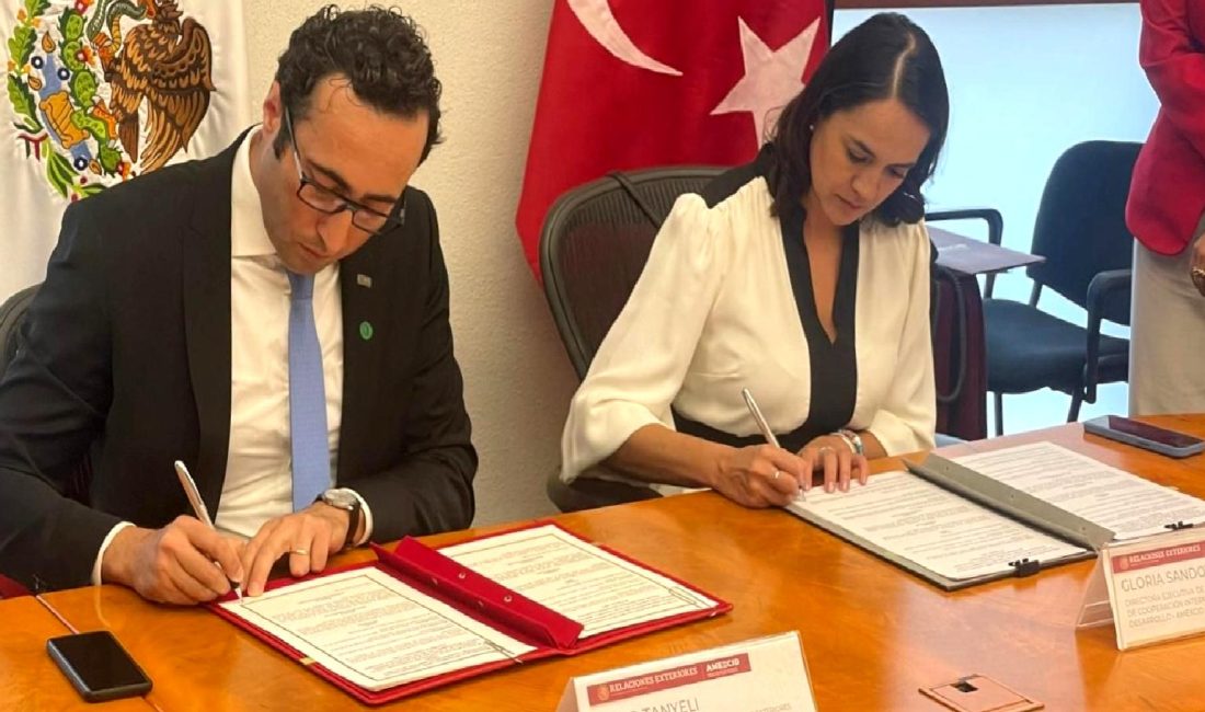 MIKTA 4. Üst Düzey Kalkınma İşbirliği Ağı Toplantısı MIKTA 4. Üst Düzey Kalkınma İşbirliği Ağı Toplantısı, küresel kalkınma